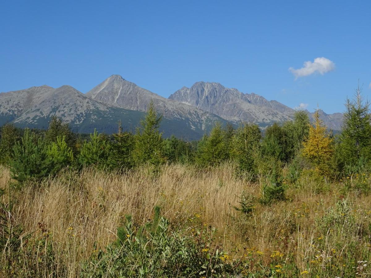 Villa Rekreacny Dom Tyrkys Poprad Esterno foto