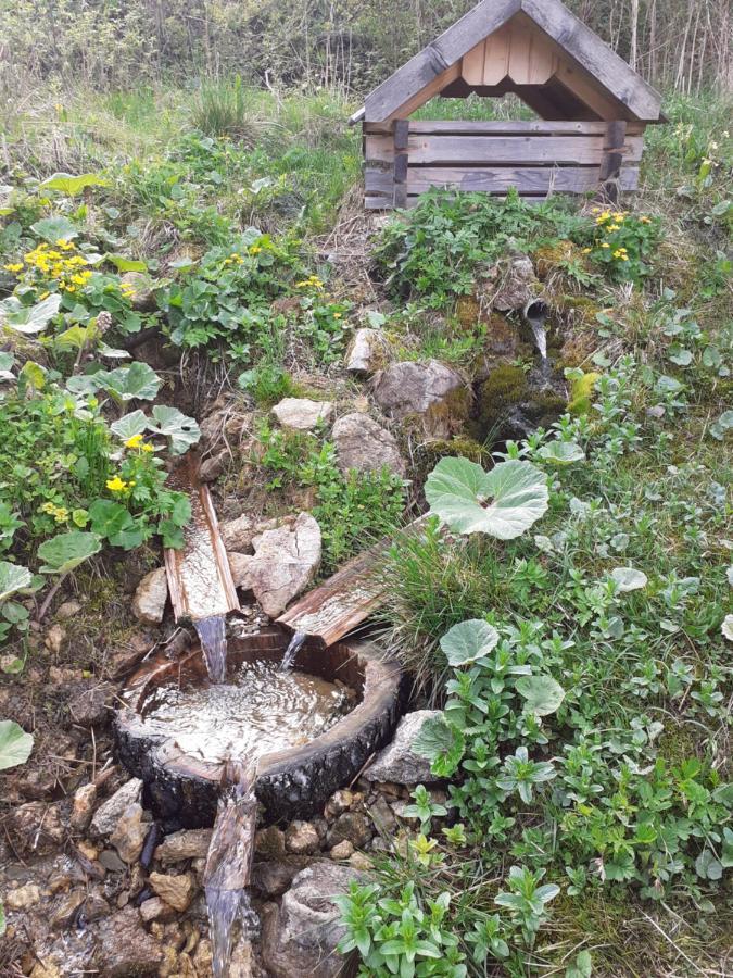 Villa Rekreacny Dom Tyrkys Poprad Esterno foto